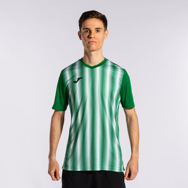 Dres / tričko INTER II SHORT SLEEVE T-SHIRT zelená čierna